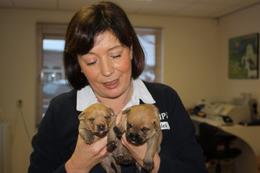 Assistente Ineke met Leentje en Eddie