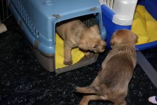 .... doet goed volgen