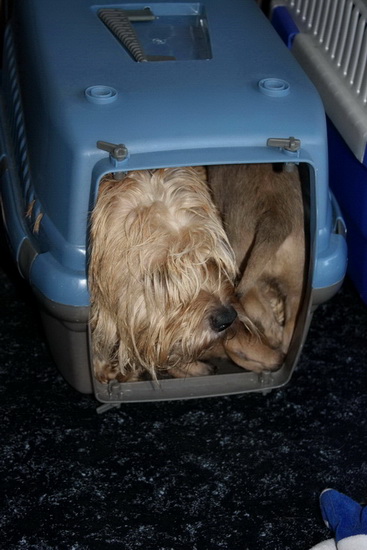 Het goede voorbeeld ......