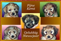 pups.jpg