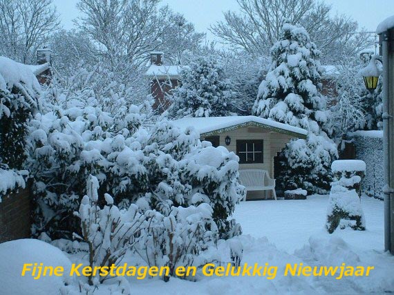 kerstkaart 2010.jpg