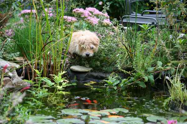 pien houdt van de natuur.jpg