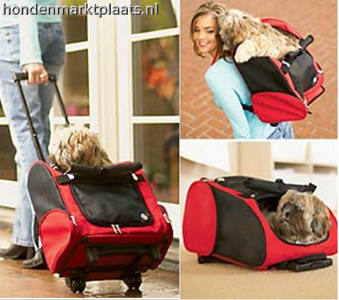 honden-trolly-trolly-honden-bench-honden-rugzak-nieuw-marktgigant1.jpeg