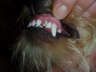 myphoto1.jpg
