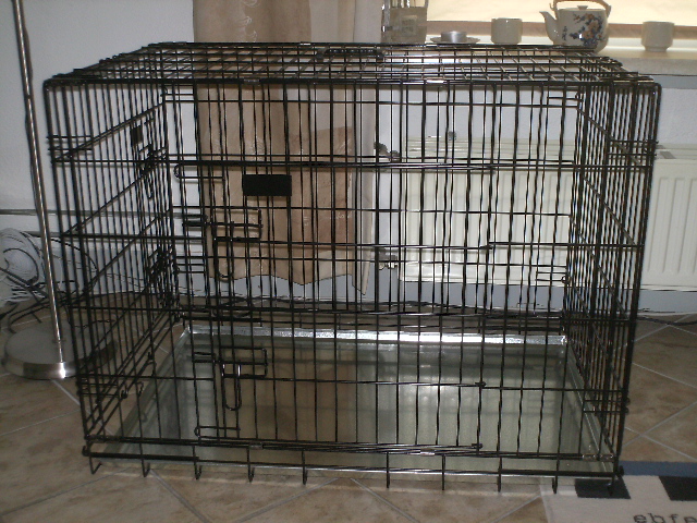 002.JPG