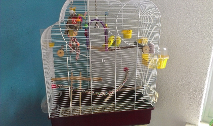 Herschaalde kopie van 028.jpg