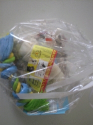 Herschaalde kopie van 153.jpg