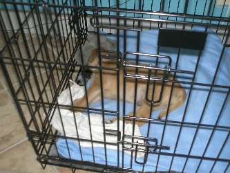 Herschaalde kopie van 152.jpg