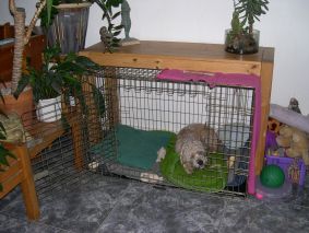 Dit is de grote bench van Loes, past prima in het interieur, zoals je ziet. Foto heb ik ook in gesloten deurtje-versie!