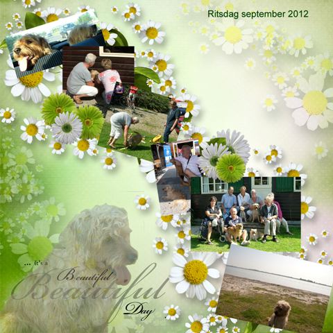 Ritsdag sept. 2012a.jpg