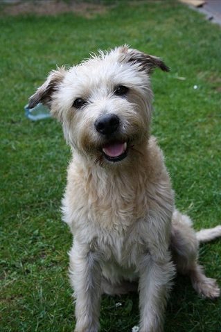 Ezra op 13 jarife leeftijd