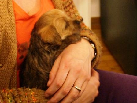 Tommy 5wk bij Rosalie 4.jpg