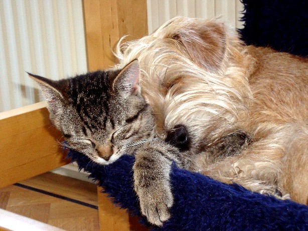 Van alles wat. 038.jpg3Verkl.jpg