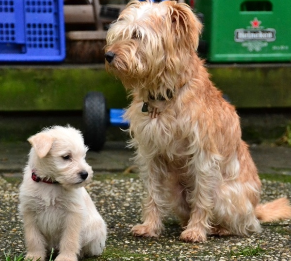 moeder en zoon (616x557).jpg