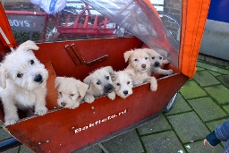 park (256x171) (2).jpg