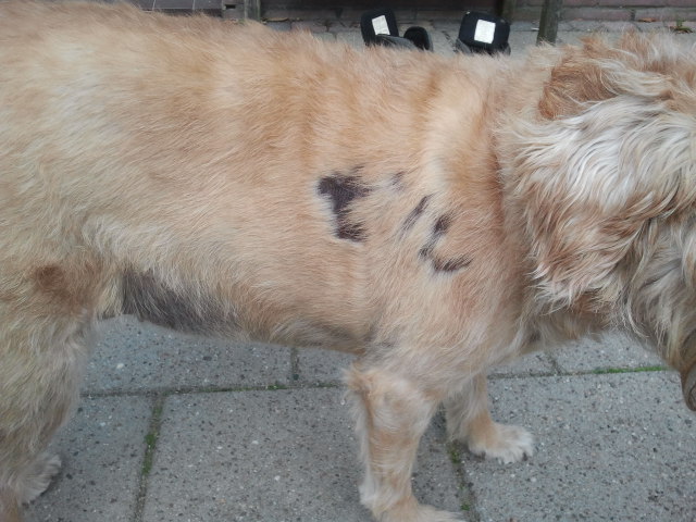 2014-09-16 17.33.53.jpg