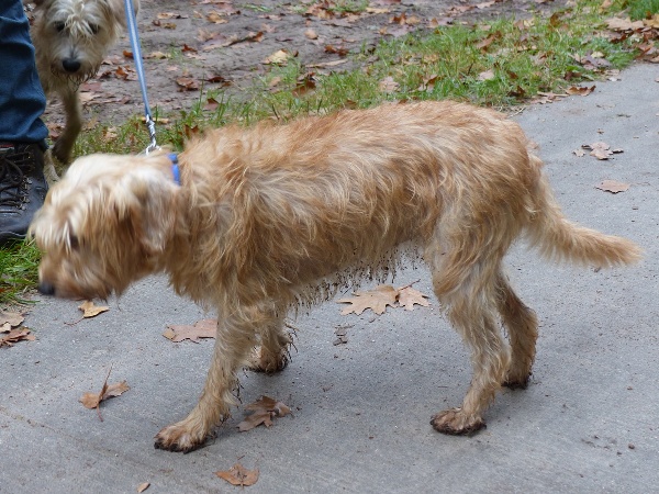 P1010268 - kopie.JPG