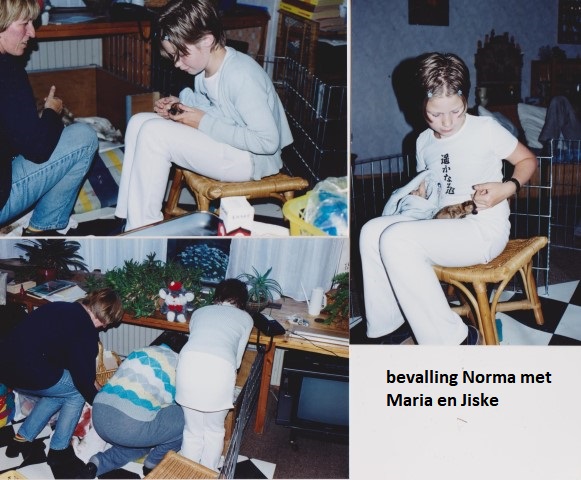 bevalling norma (Small).jpg