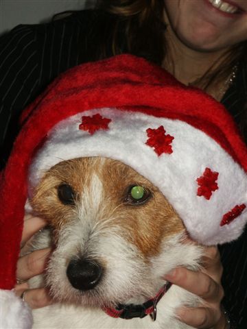 kerstmis 2004 ibo-ant. 017.jpg