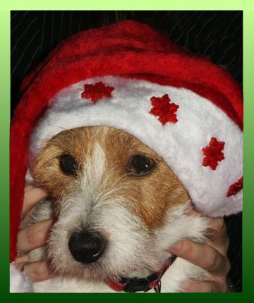 kerstmis 2004 ibo-ant. 017-2.jpg