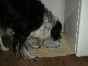 Herschaalde kopie van PICT0003.jpg
