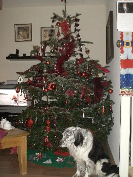 Herschaalde kopie van PICT0005.jpg