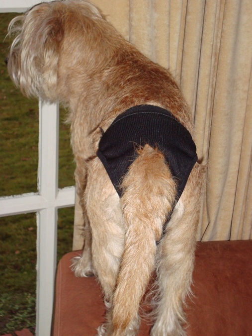 Van alles wat. 107.jpg