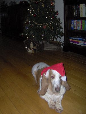 swieber met kerstboom 2006.JPG