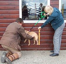 is Woezel niet lekker gegroeid.jpg
