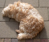 IM001649_edited (2).jpg