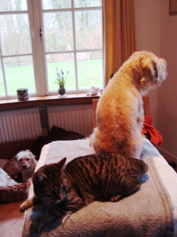 Van alles wat. 154VV.jpg