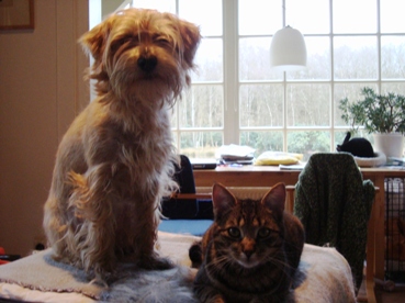 Van alles wat. 150V.jpg