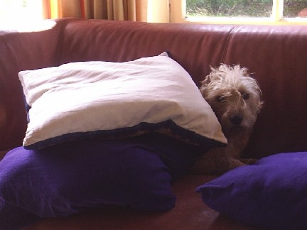Hoezo 'warm'?!