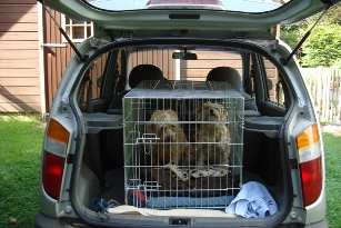 Zomer09 032VBench2XX.jpg