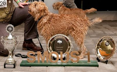 Yeti, onze clubmatch-winnaar