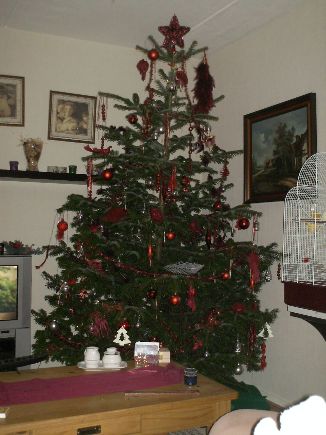 PICT0003[1].jpgV.jpg
