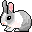 :konijn: